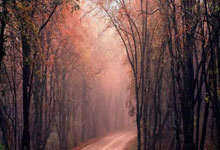 梦见作证人 做梦梦见作证人是什么预兆 梦见作证人好不好