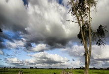 一炷香燃烧香谱图解简析