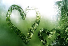 命运四字，定财富高低