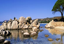 生命灵数揭秘：你运势巅峰的黄金时期！