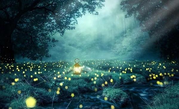 梦见萤火虫好不好   做梦梦见萤火虫是什么预兆